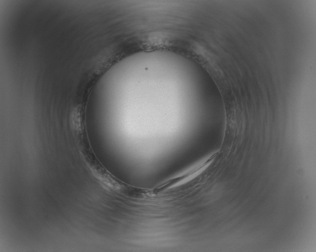 X0000074020715200609061115