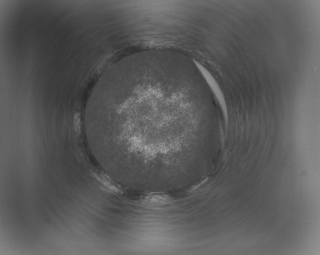 X0000074020716200609061115