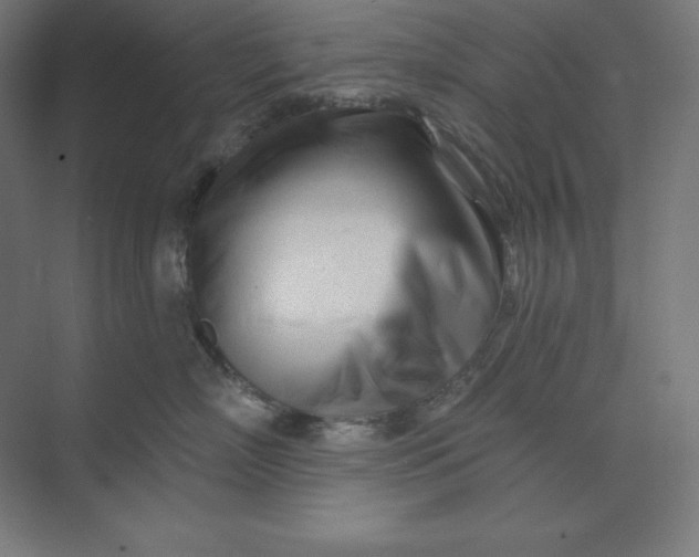 X0000074020718200609061115