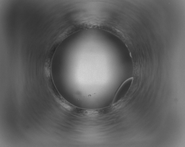X0000074020719200609061115
