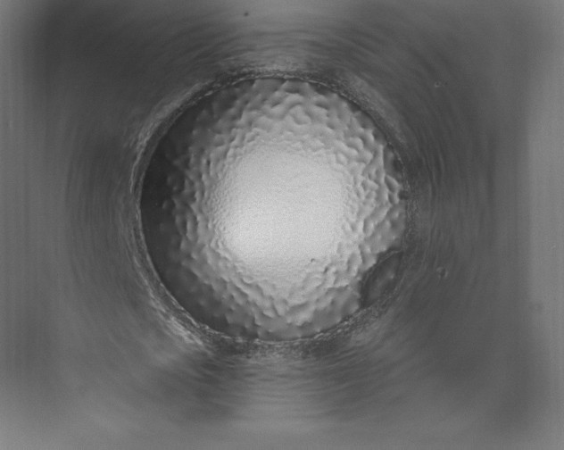 X0000074020721200609061115