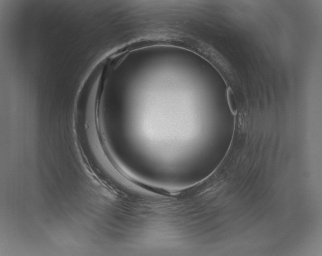 X0000074020724200609061115