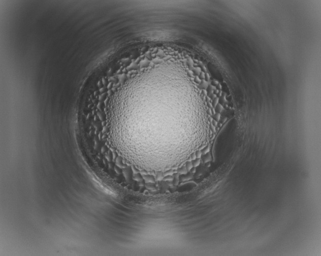 X0000074020725200609061115