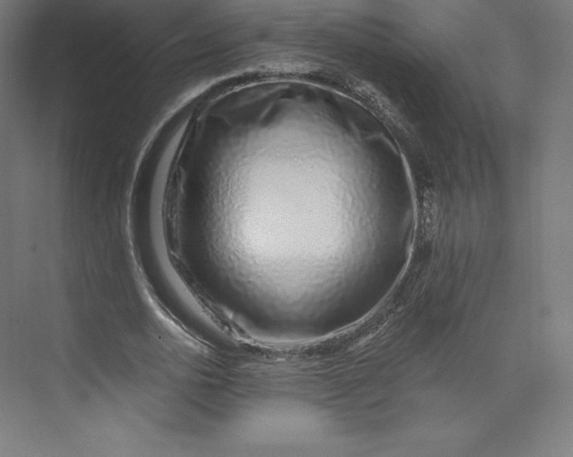 X0000074020726200609061115