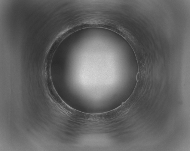 X0000074020727200609061115