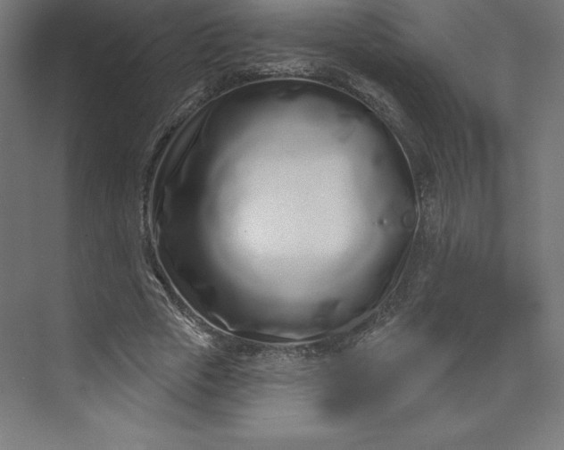 X0000074020729200609061115