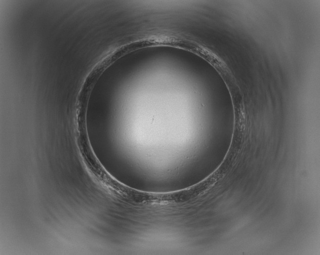 X0000074020730200609061115