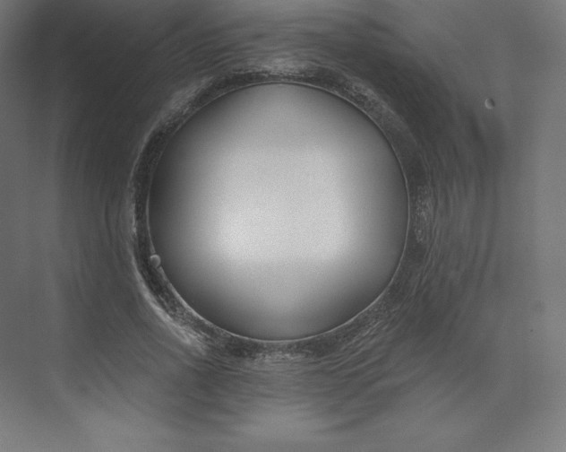 X0000074020734200609061115