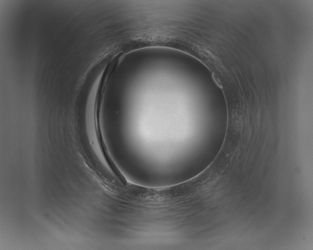 X0000074020735200609061115