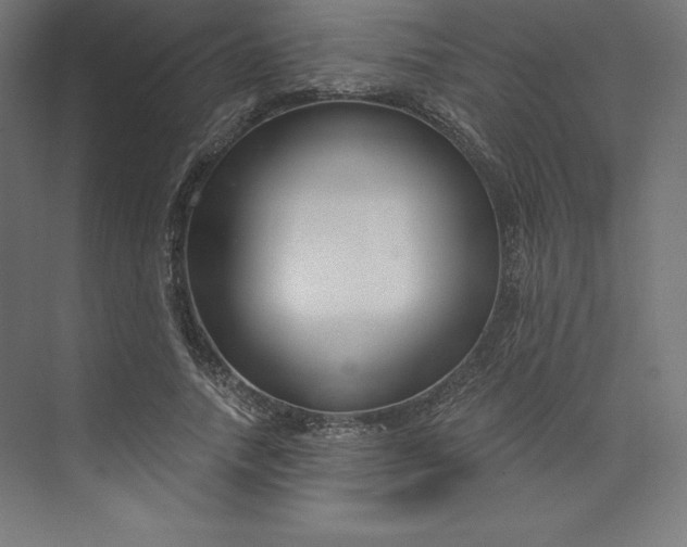 X0000074020738200609061115