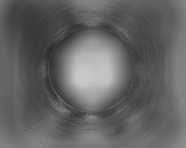 X0000074020741200609061115