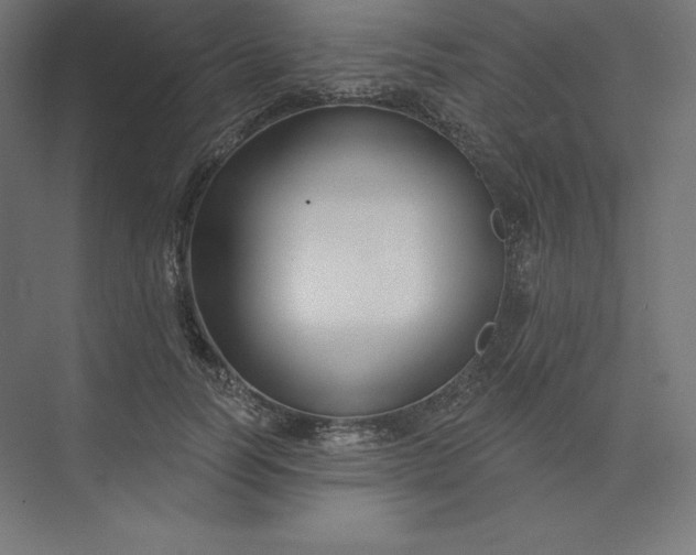 X0000074020746200609061115