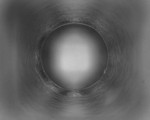 X0000074020747200609061115