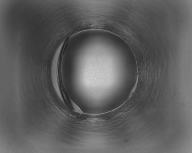 X0000074020748200609061115