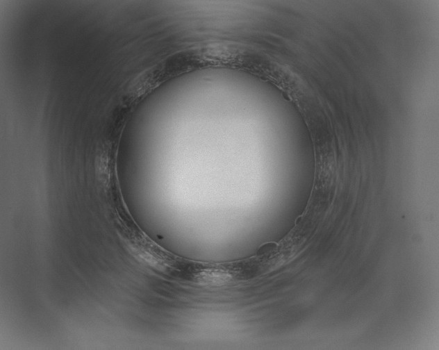 X0000074020749200609061115