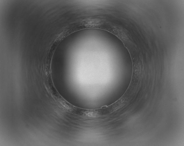 X0000074020755200609061115