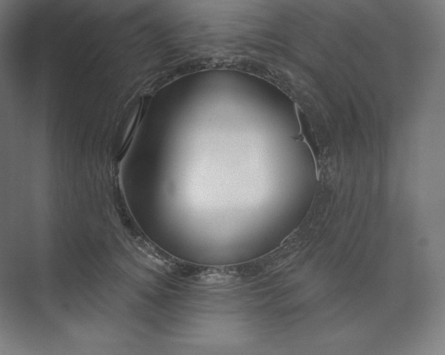 X0000074020756200609061115
