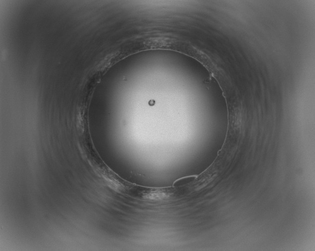 X0000074020759200609061115