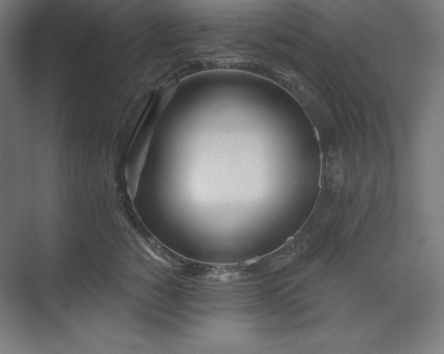 X0000074020760200609061115