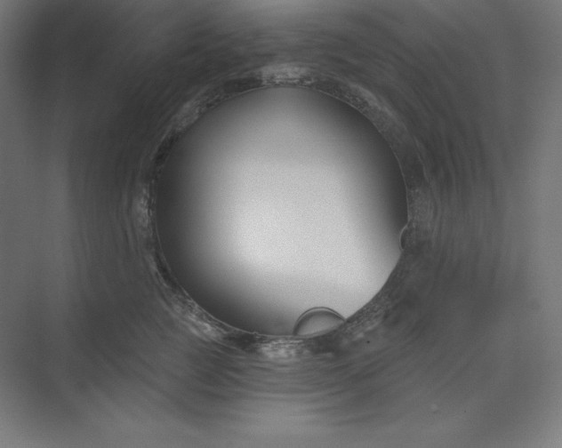 X0000074020761200609061115
