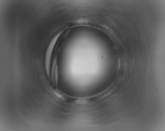 X0000074020762200609061115