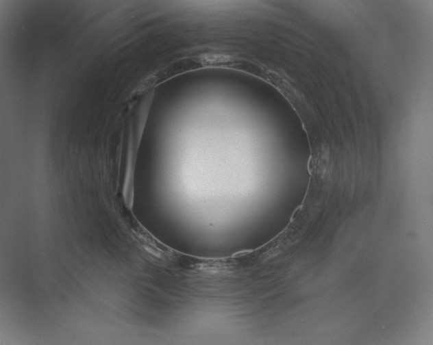X0000074020763200609061115