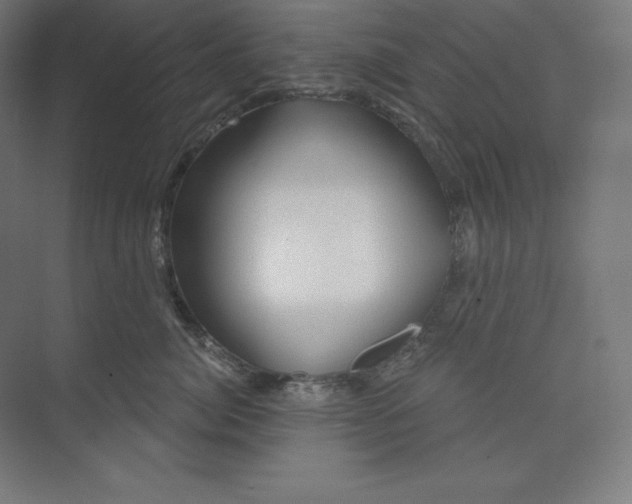 X0000074020764200609061115