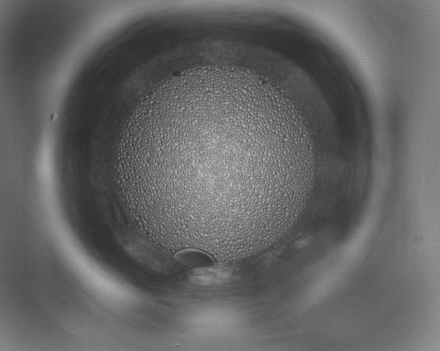 X0000074020765200609061115