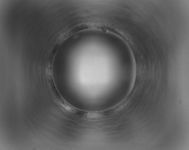 X0000074020766200609061115