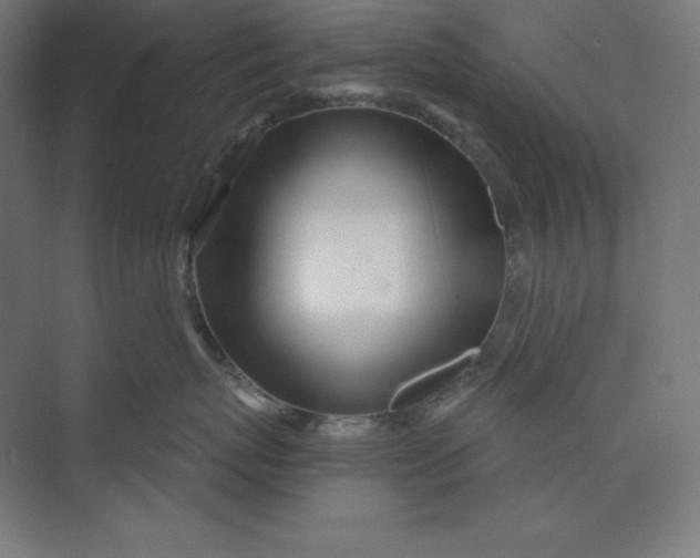 X0000074020767200609061115