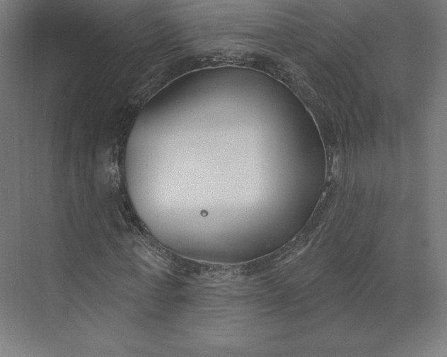 X0000074020771200609061114