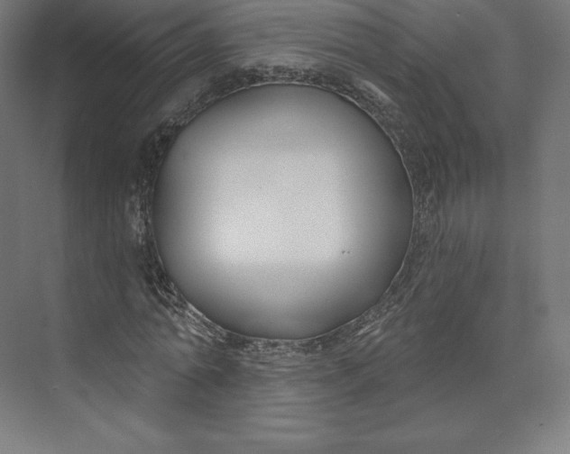 X0000074020774200609061114