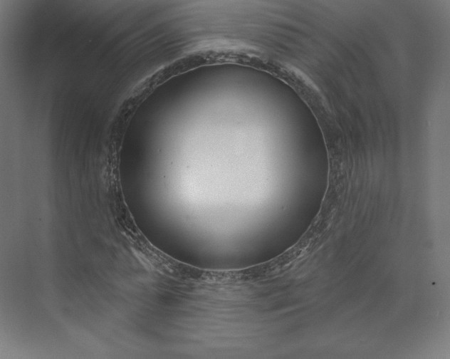 X0000074020775200609061114