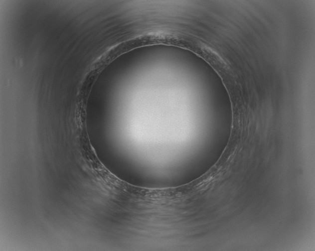 X0000074020776200609061114
