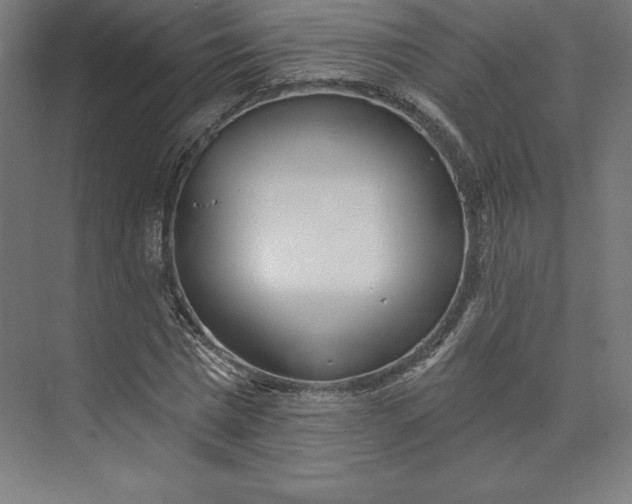 X0000074020777200609061114