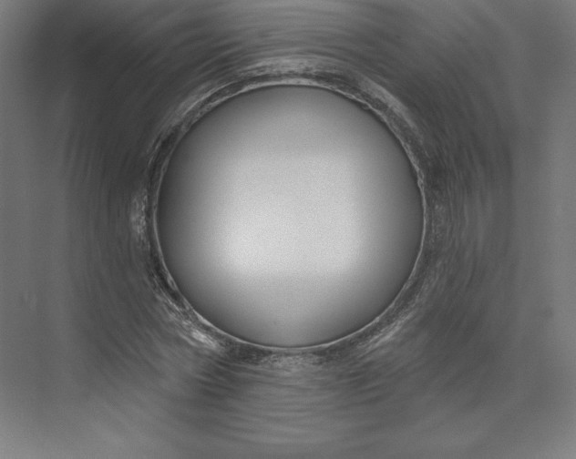 X0000074020778200609061114