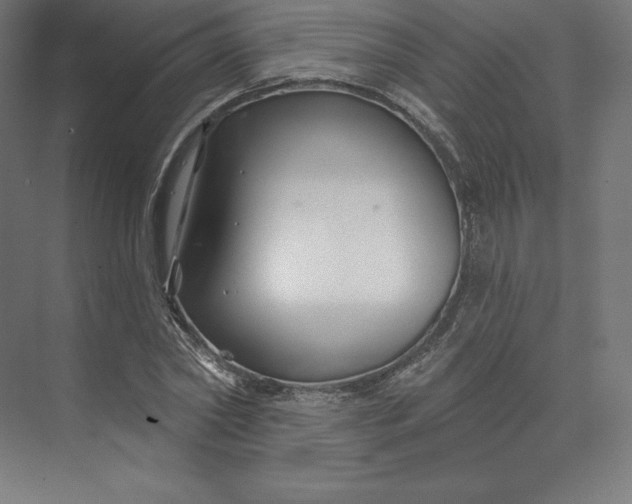 X0000074020782200609061114