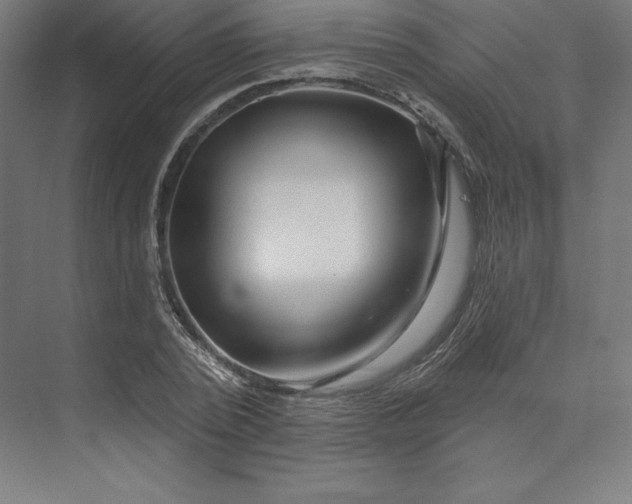 X0000074020784200609061114