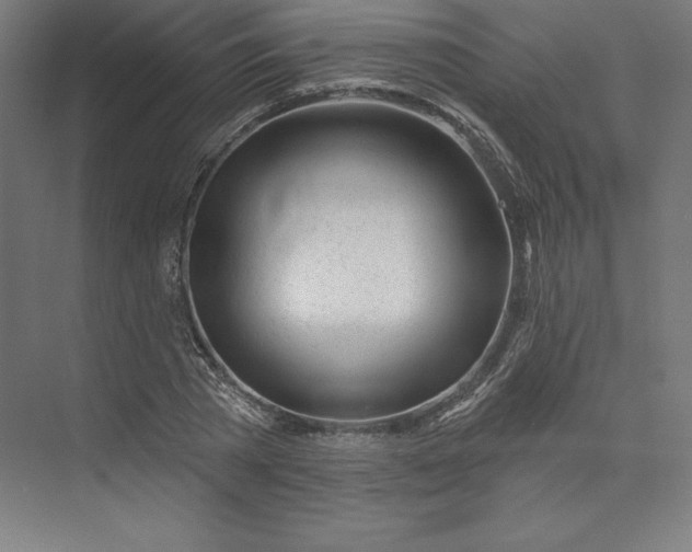 X0000074020785200609061114