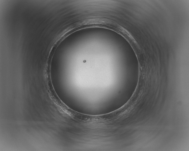 X0000074020786200609061114