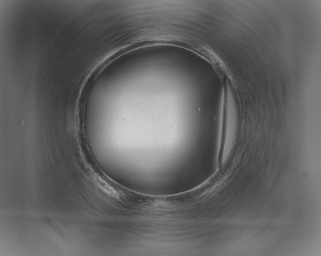X0000074020787200609061114
