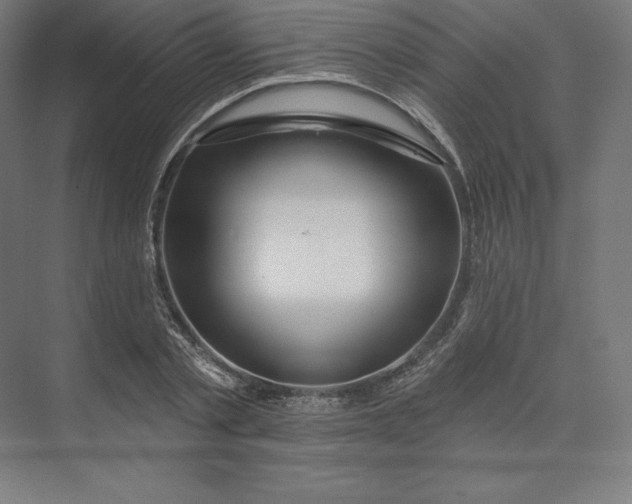 X0000074020789200609061114