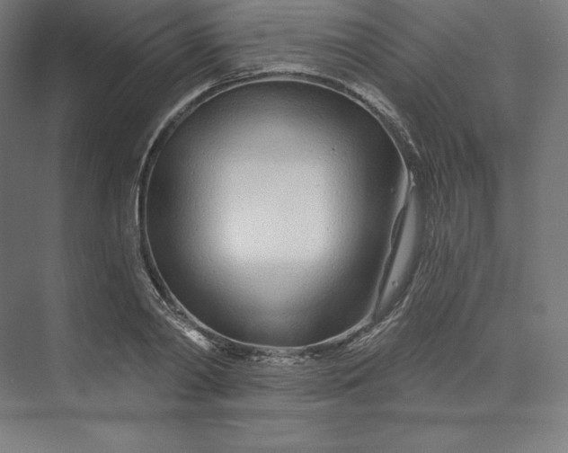 X0000074020790200609061114
