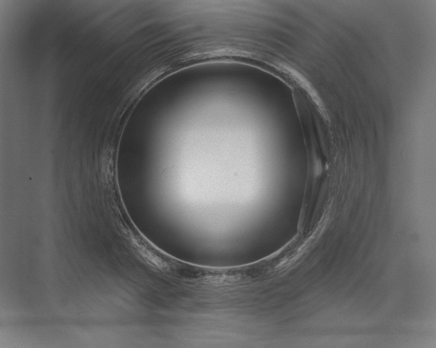 X0000074020793200609061114