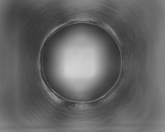 X0000074020795200609061114