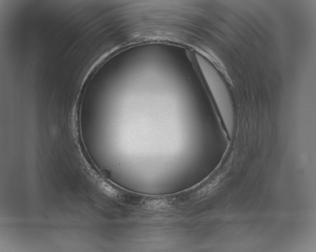 X0000074020798200609061114