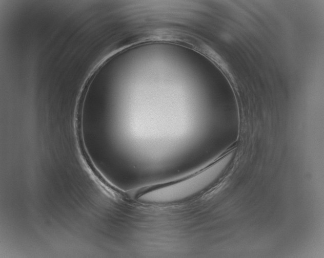 X0000074020803200609061114