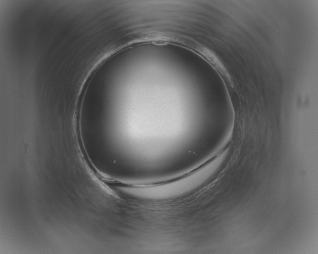 X0000074020805200609061114