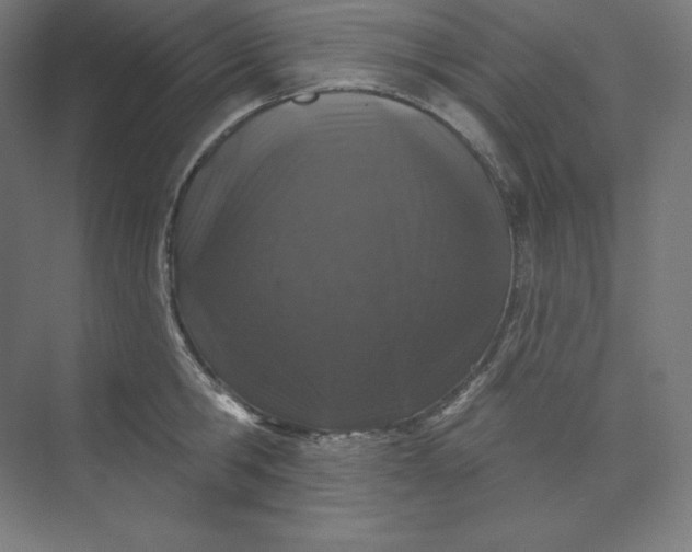 X0000074020806200609061114