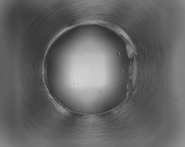 X0000074020811200609061114